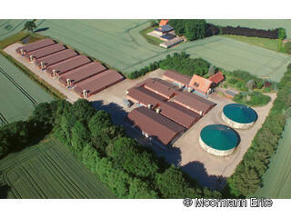 2009 - 2011 | Neubau von Schweinemastanlagen in Bonrechtern. Aufbau eines zusätzlichen Betriebszweiges durch den Einstieg in die Erzeugung von regenerative Energien.