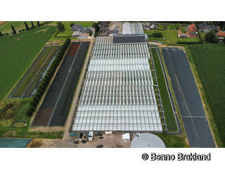 2022 - Erweiterung der Betriebszweige durch den Einstieg in die Blumenproduktion.