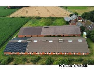 2021 | Erwerb eines Grundstückes inkl. Schweinemastanlagen in Goldenstedt (11. Standort).